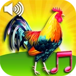 Logo of Funny alarm clock ringtones android Application 